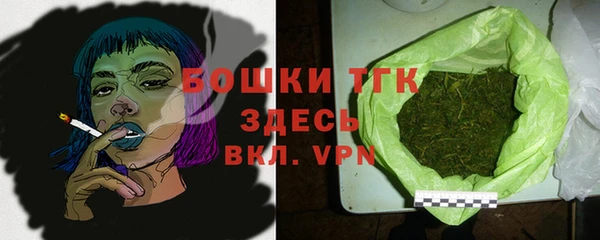 spice Бородино