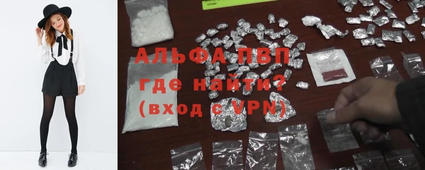 spice Бородино