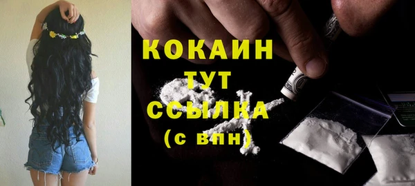 spice Бородино