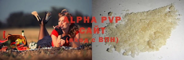 spice Бородино