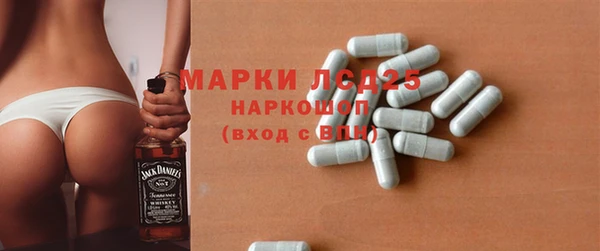 spice Бородино