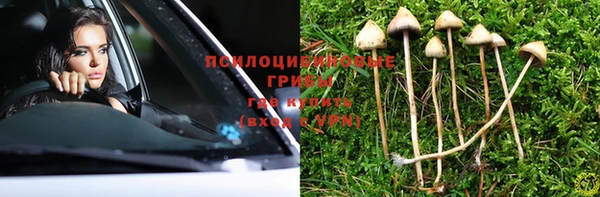 spice Бородино