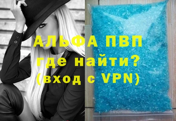 spice Бородино